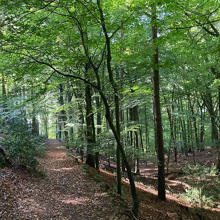 Schoenes In Brochterbeck Mit Garten Holiday home Tecklenburg